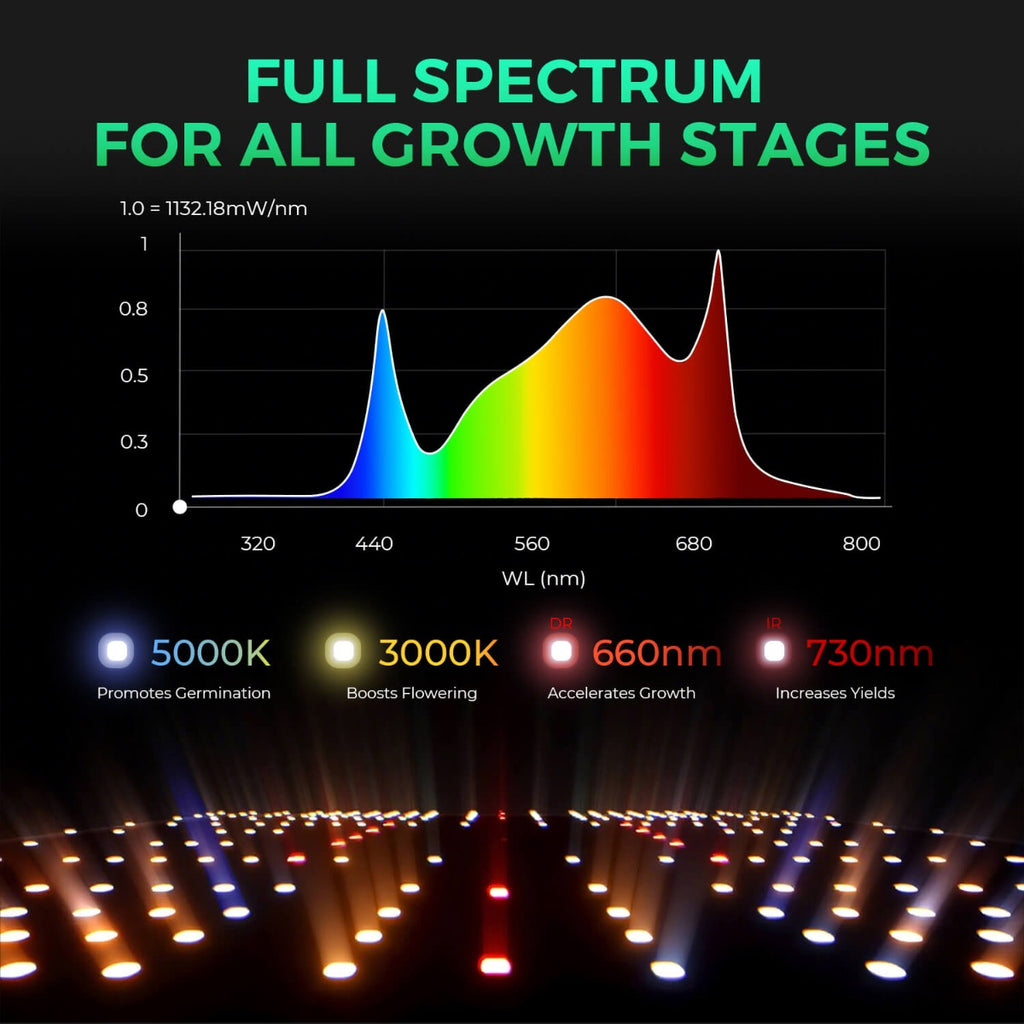 Mars Hydro SP 3000 300W Full Spectrum Grow Room LED Grow Light product image 3