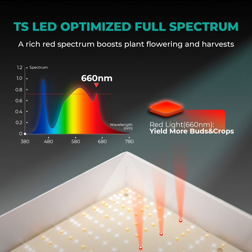 Mars Hydro TS 1000 150W Dimmable Full Spectrum LED Grow Light product image 8