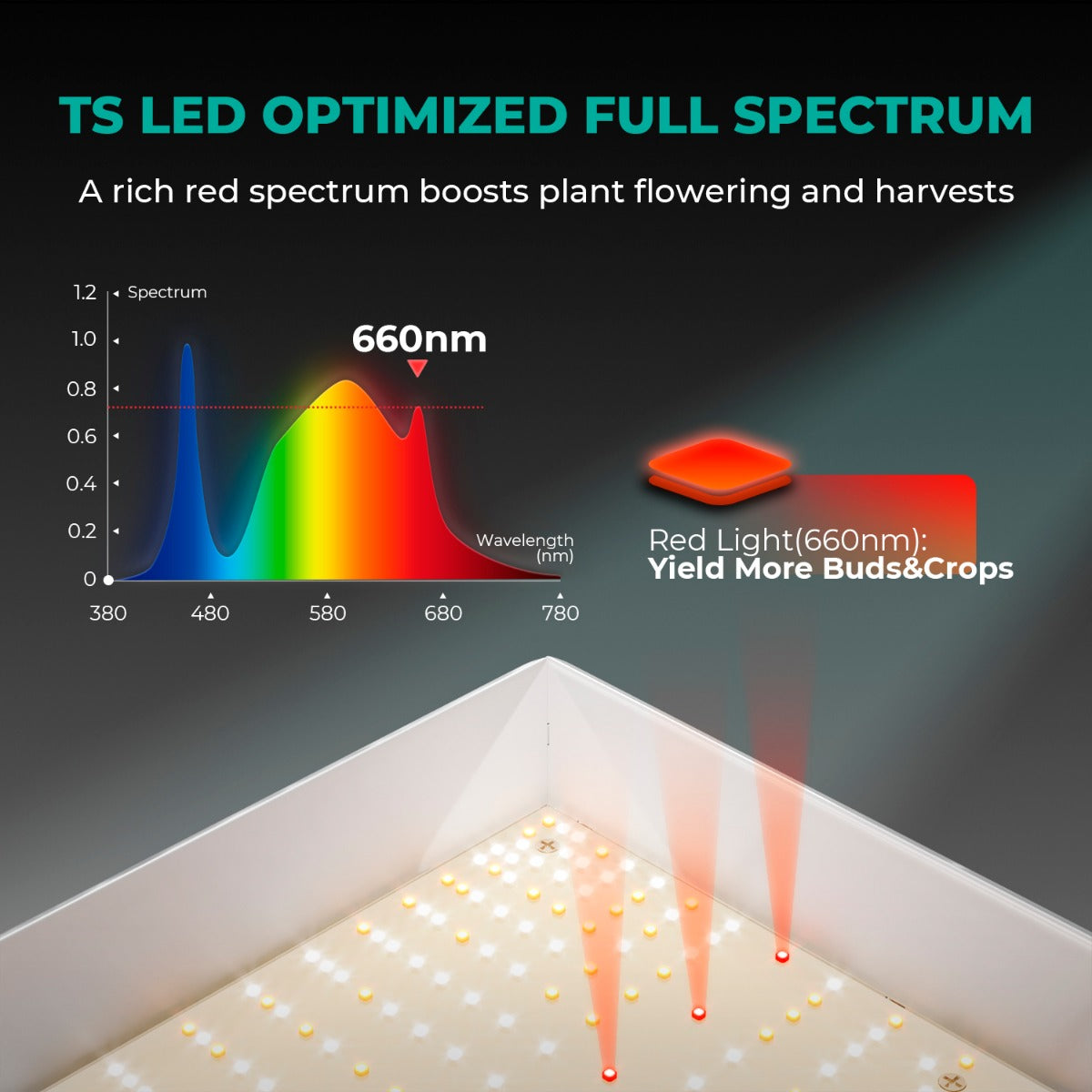 Mars Hydro TS 1000 150W Dimmable Full Spectrum LED Grow Light product image 8