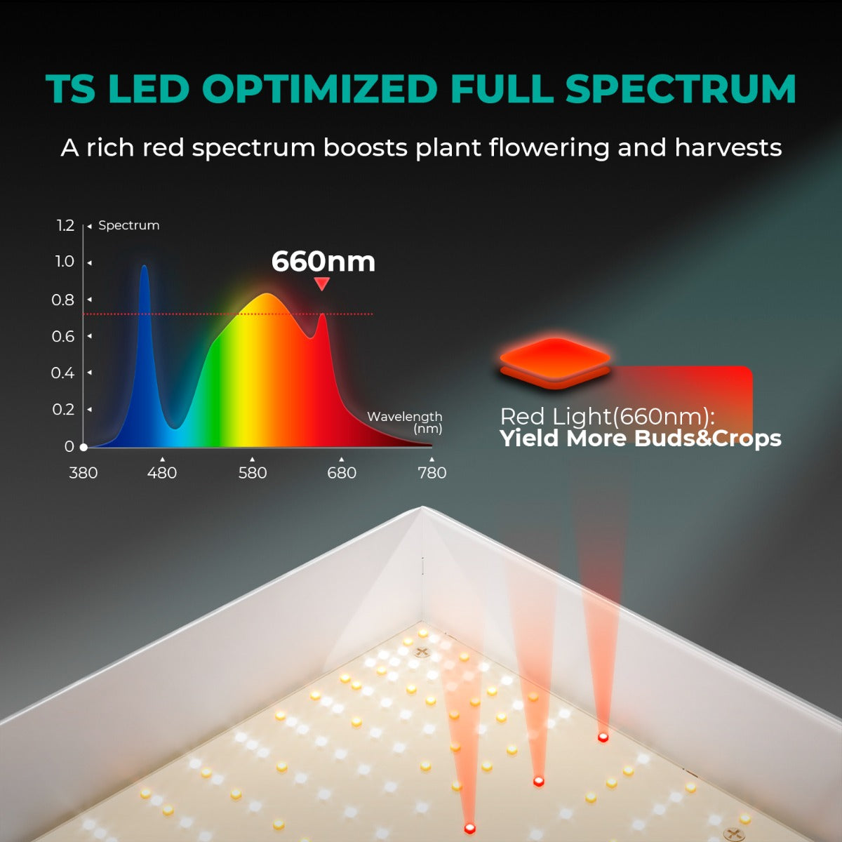 Mars Hydro TS 1000 LED Grow Light + 2.3' x 2.3' Grow Tent + Inline Fan product image 4