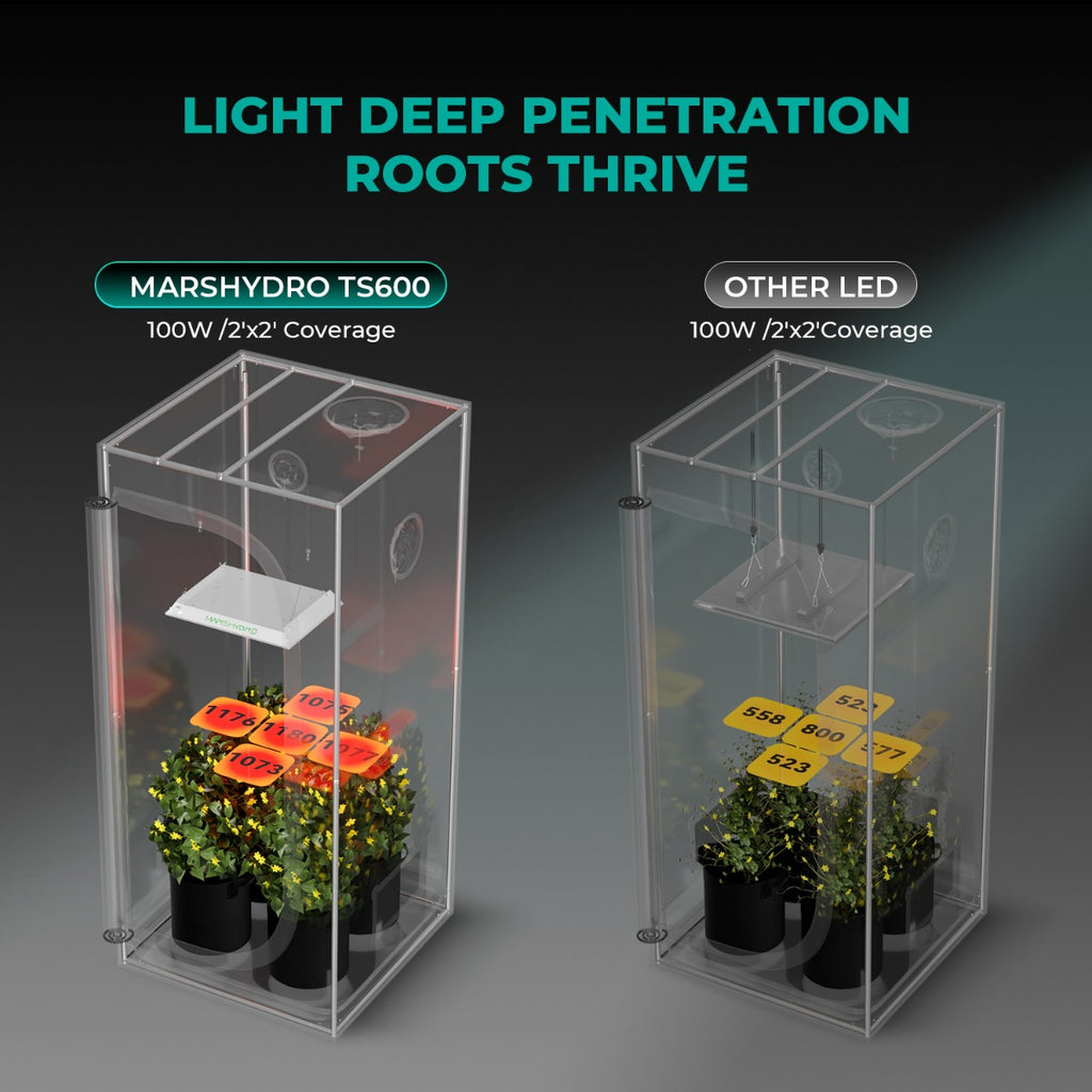cheap grow tent with light Mars Hydro TS 600 LED Grow Light + 2' x 2' Grow Tent + Inline Fan