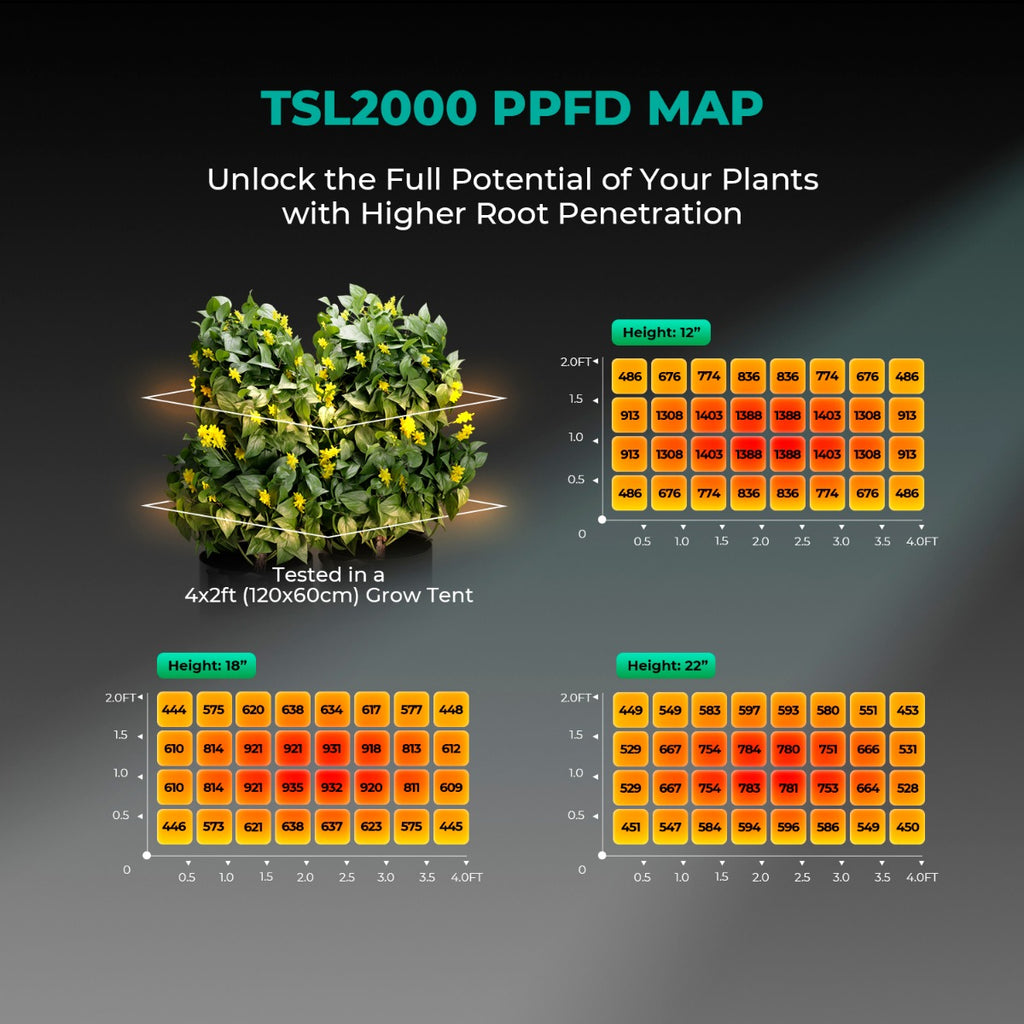 Mars Hydro TSL 2000 300W Dimmable Full Spectrum LED Grow Light product image 5