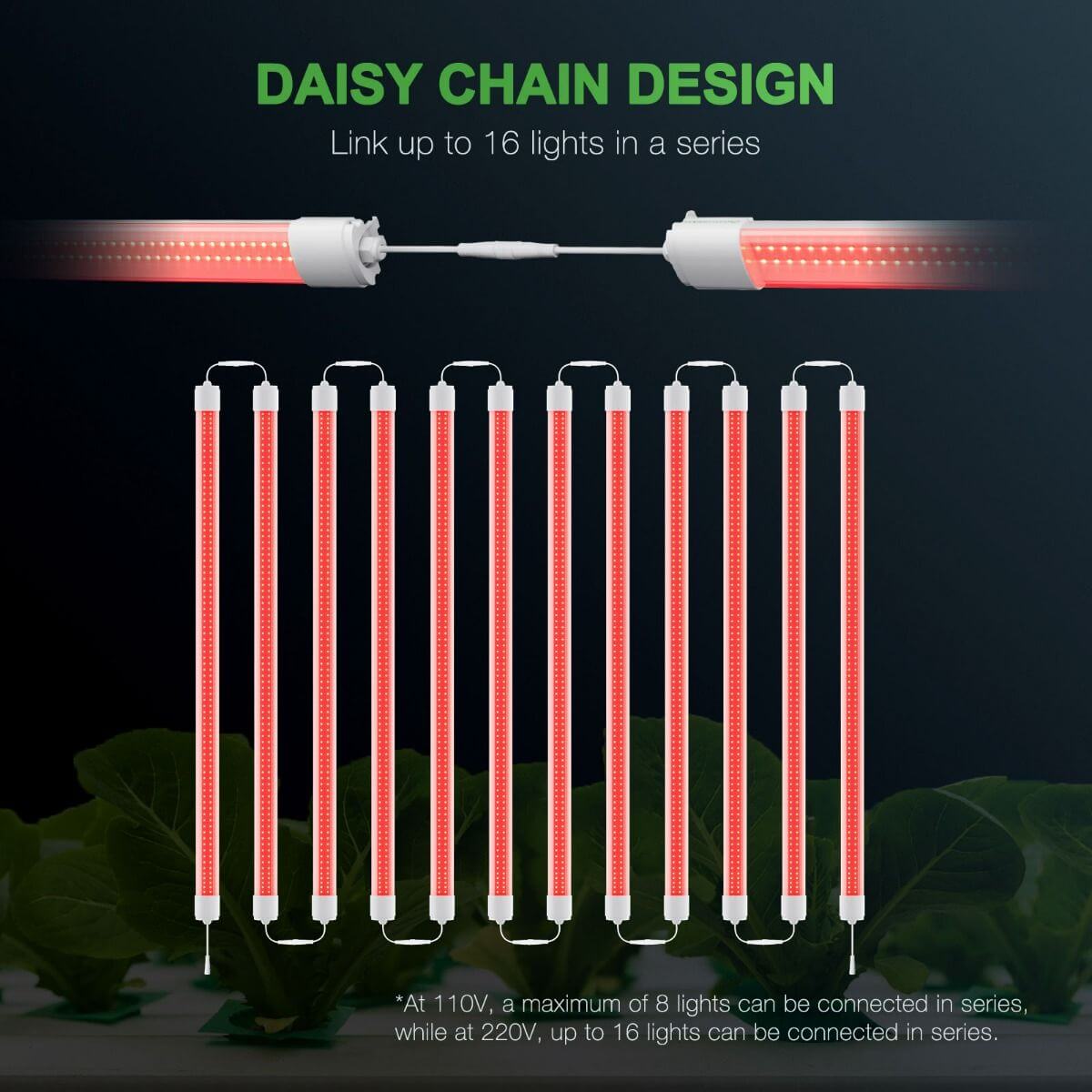 Daisy chain design allowing up to 16 Mars Hydro VG80R red LED grow lights to be connected in series.