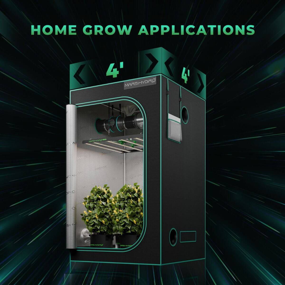 Home grow tent setup showing a Mars Hydro 4'x4' indoor grow tent with plants inside.