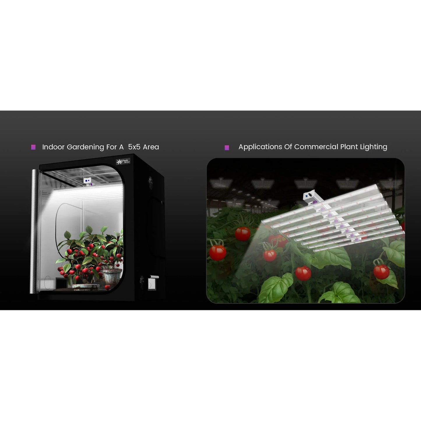 Medic Grow EZ-8 1000W Full Sprectrum LED Grow Light product image 8