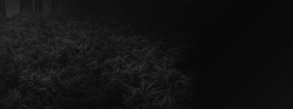 Medic Grow Fold 1200U Grow Lights product image 32