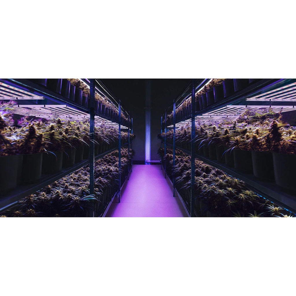 Medic Grow Fold 1200U Grow Lights product image 6