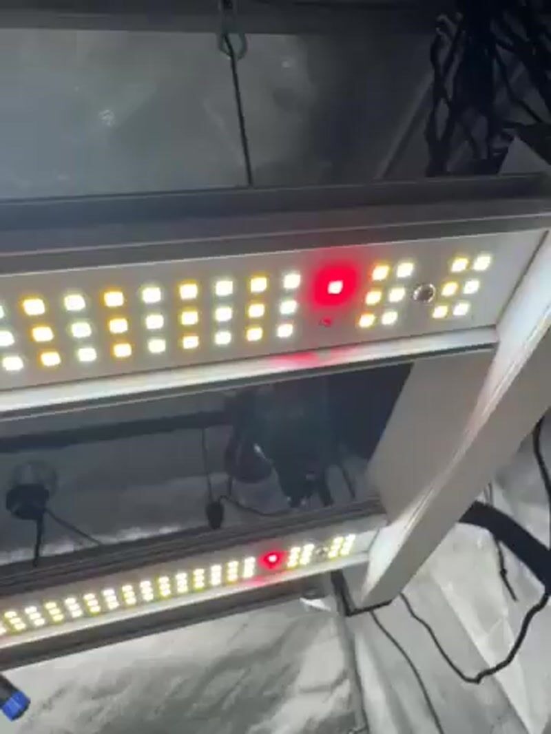 Medic Grow Fold 800 Grow Lights product image 17