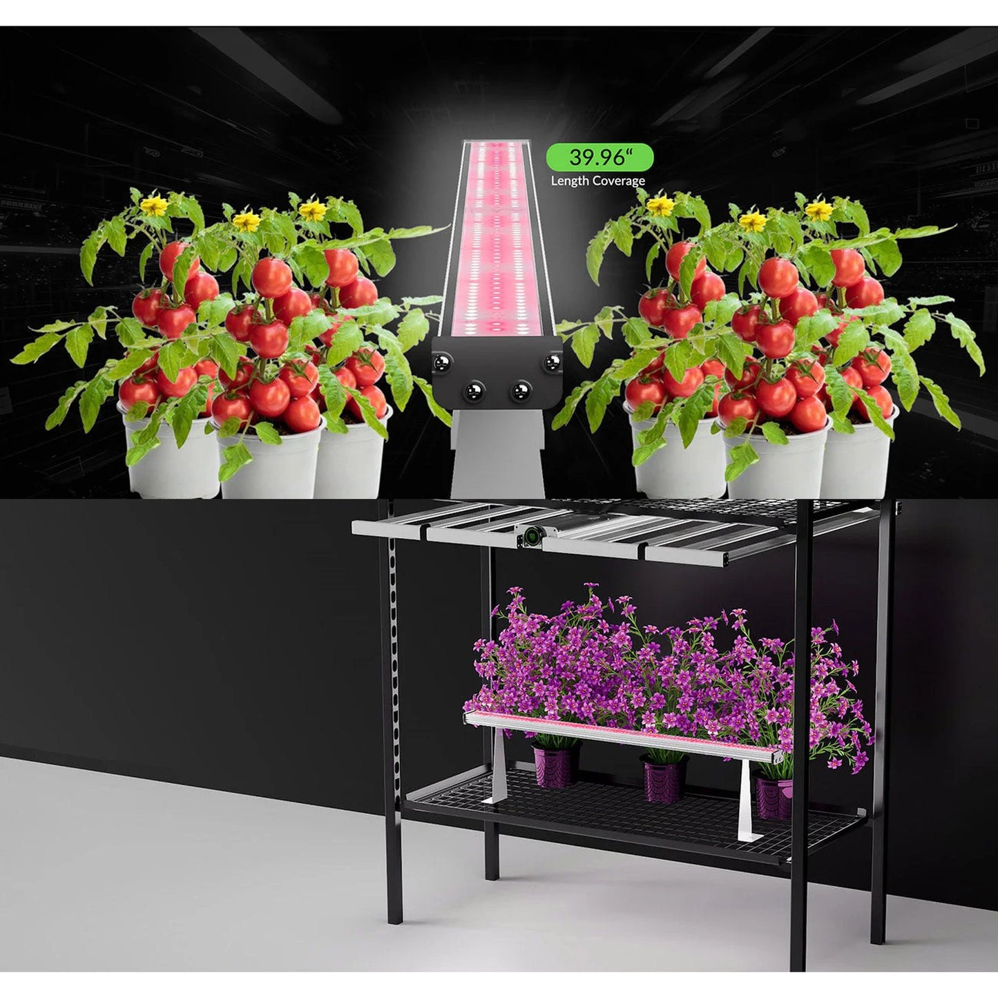 Medic Grow Hell Fire 120W Grow Lights product image 19