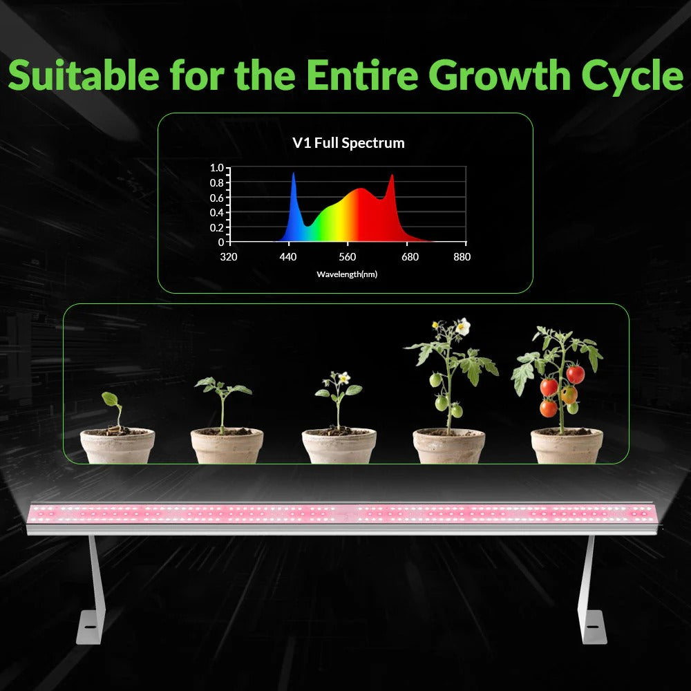Medic Grow Hell Fire 120W Grow Lights product image 4
