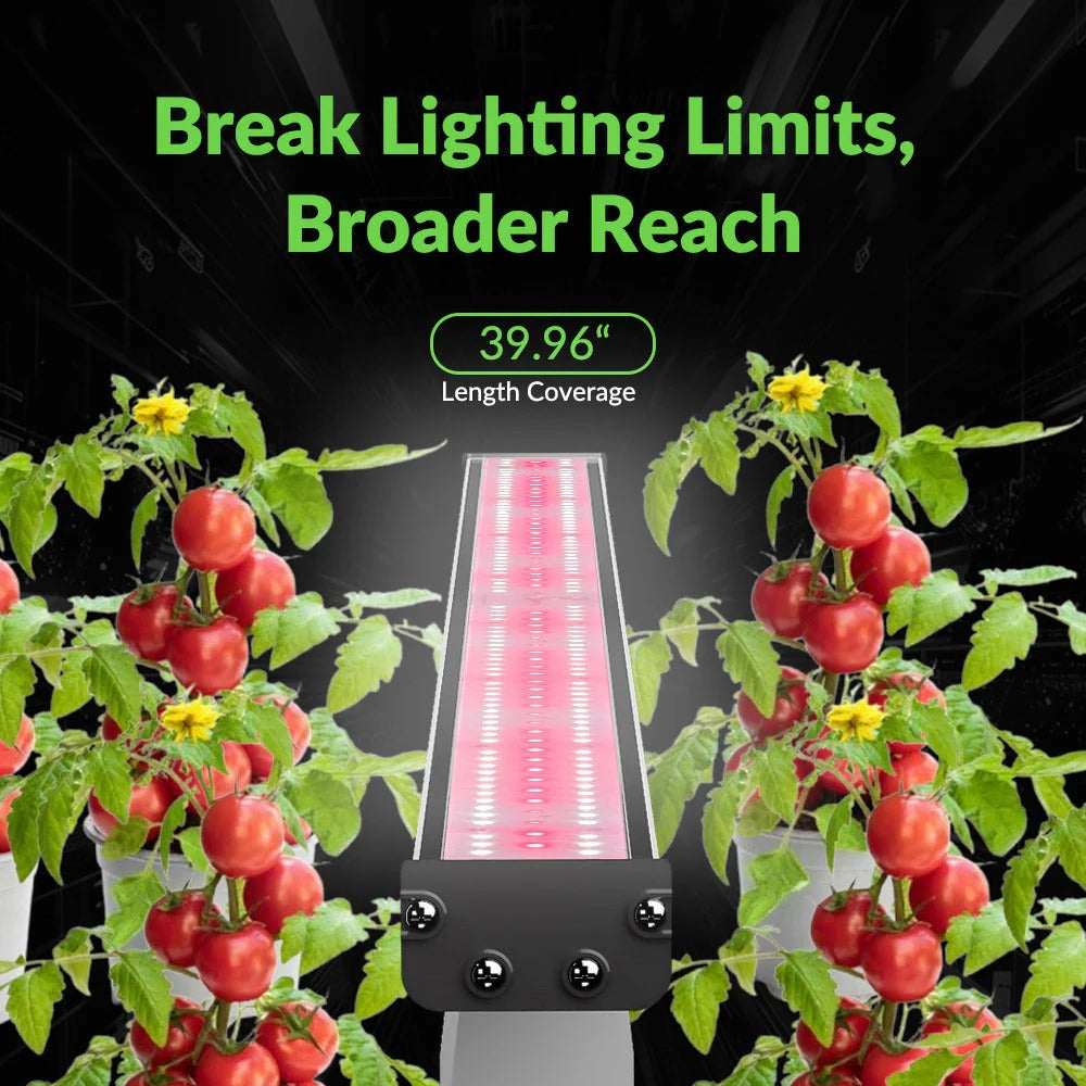 Medic Grow Hell Fire 120W Grow Lights product image 9