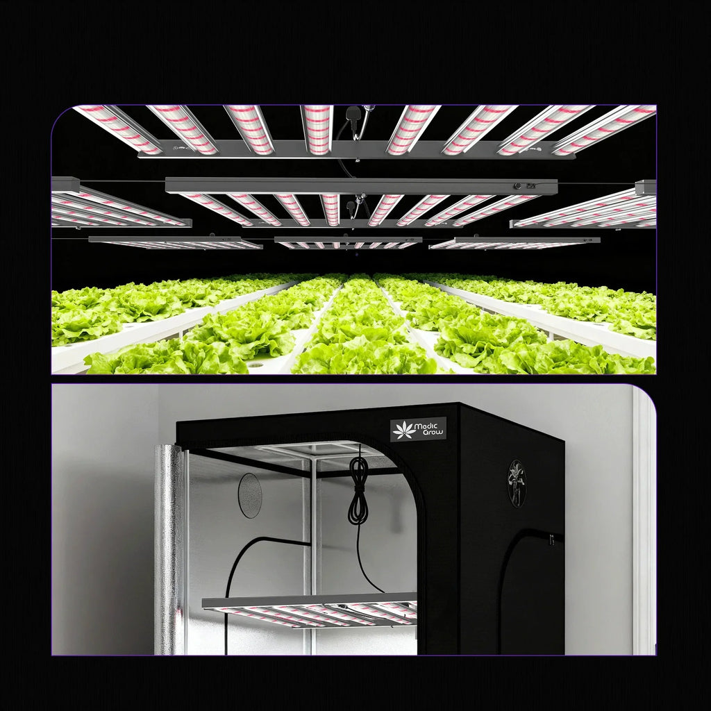 Medic Grow MEDIC BOX 07 Grow Lights product image 12