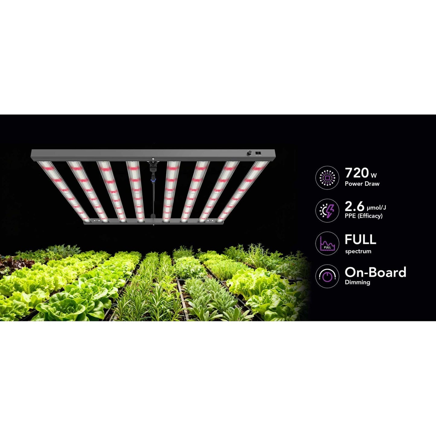 Medic Grow MEDIC BOX 07 Grow Lights product image 15