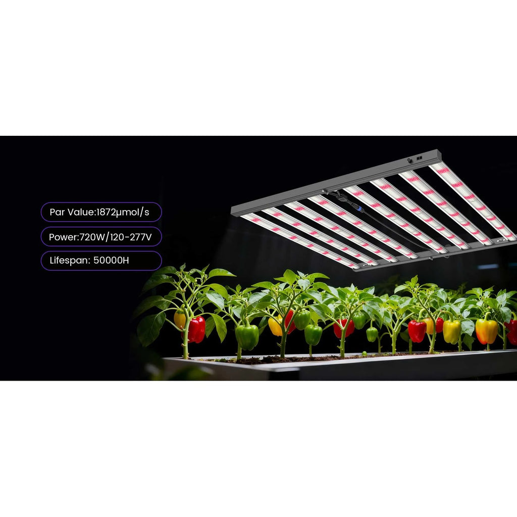 Medic Grow MEDIC BOX 07 Grow Lights product image 16