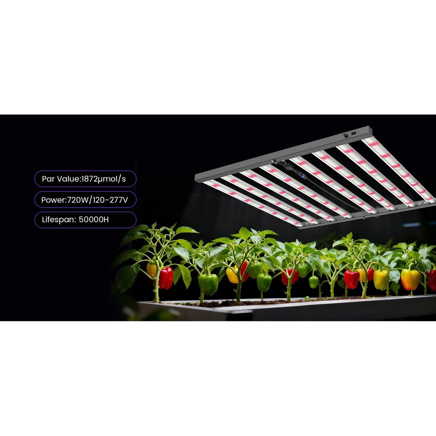 Medic Grow MEDIC BOX 07 Grow Lights product image 16