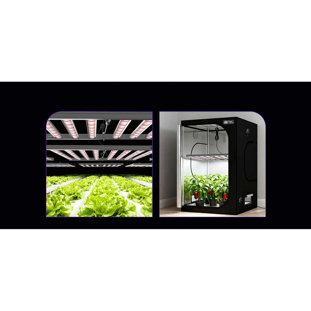 Medic Grow MEDIC BOX 07 Grow Lights product image 17