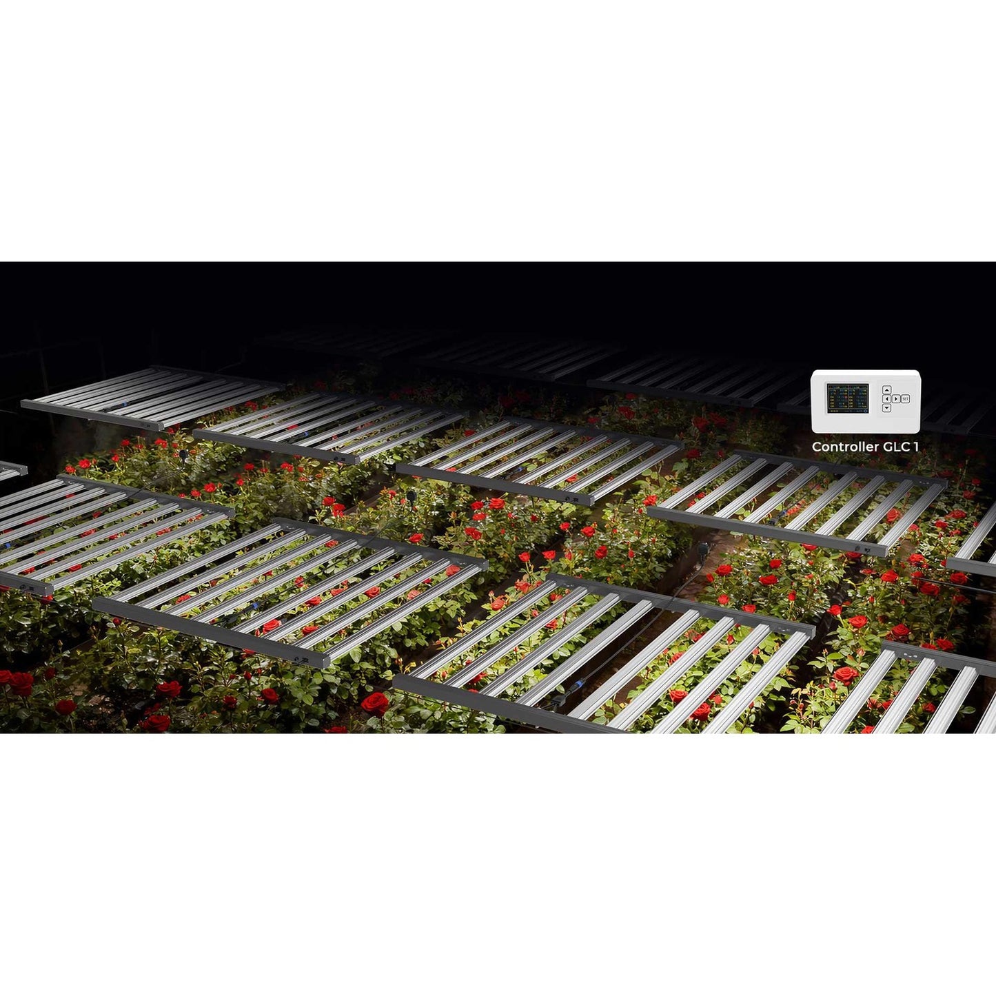 Medic Grow MEDIC BOX 07 Grow Lights product image 20