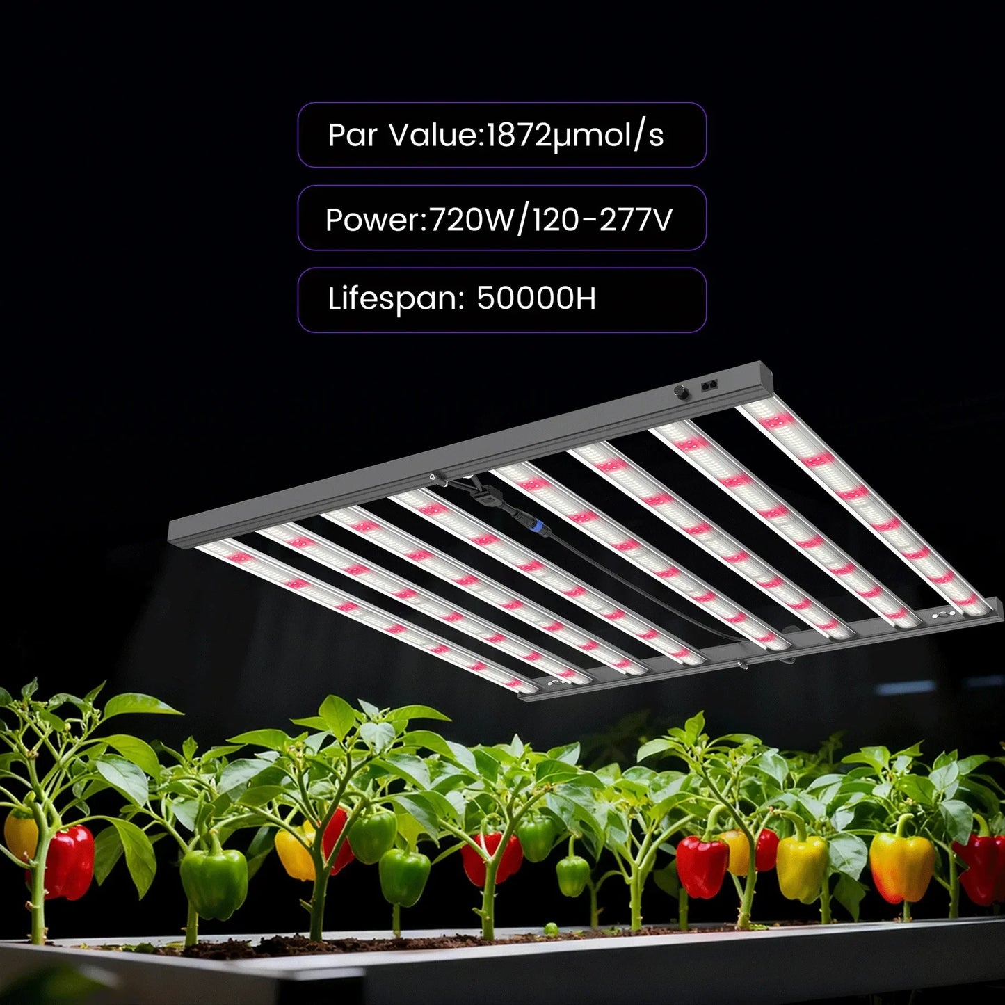 Medic Grow MEDIC BOX 07 Grow Lights product image 4