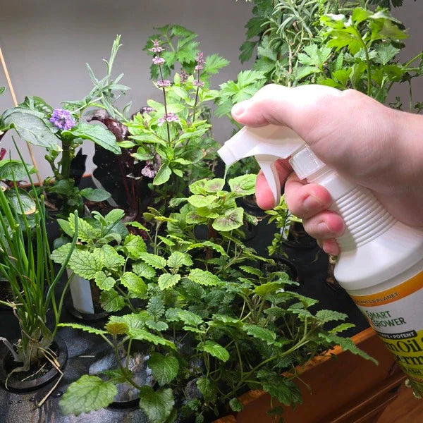 Aquager Technologies Neem Oil Spray