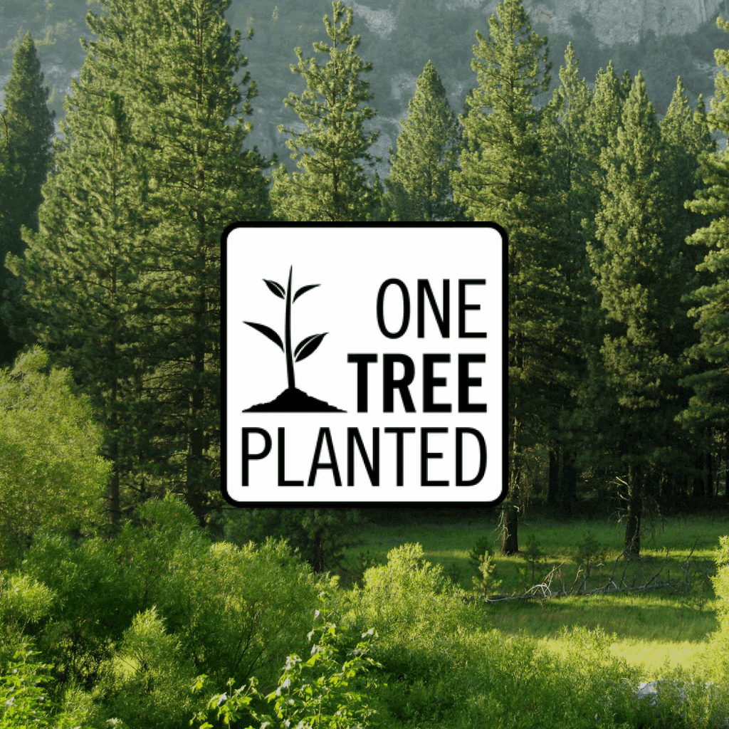 One Tree Planted Donation of a Tree product image 1