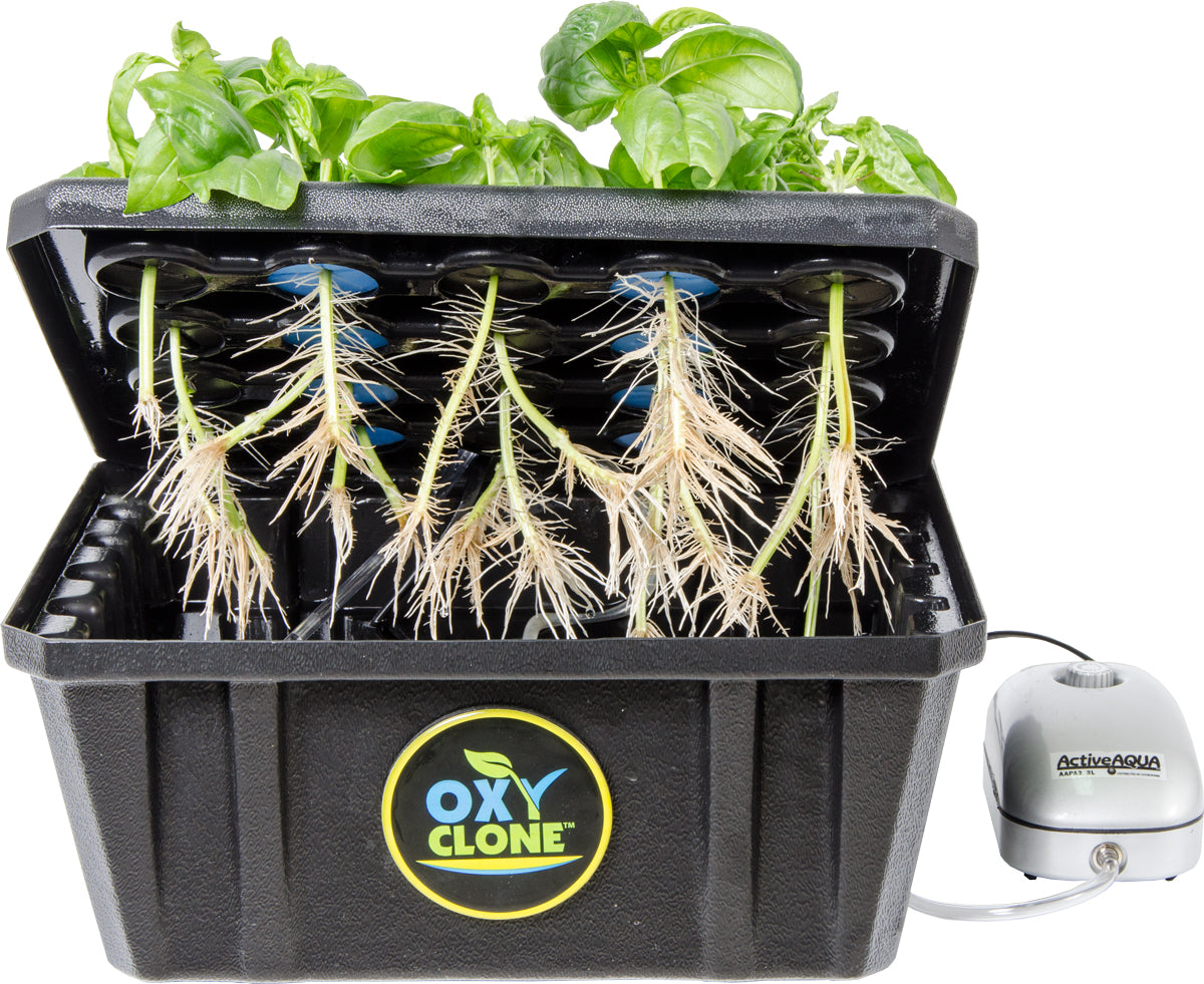 oxyCLONE PRO Series 20 Site Cloning System product image 3