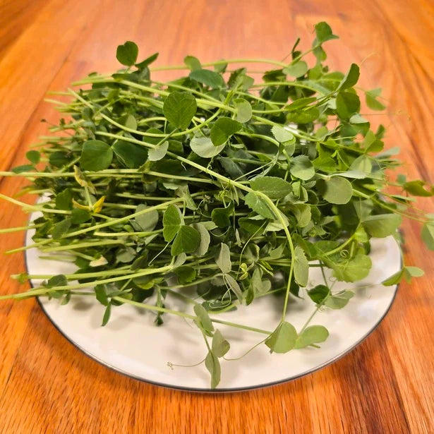 Aquager Technologies Pea Shoots (Field)