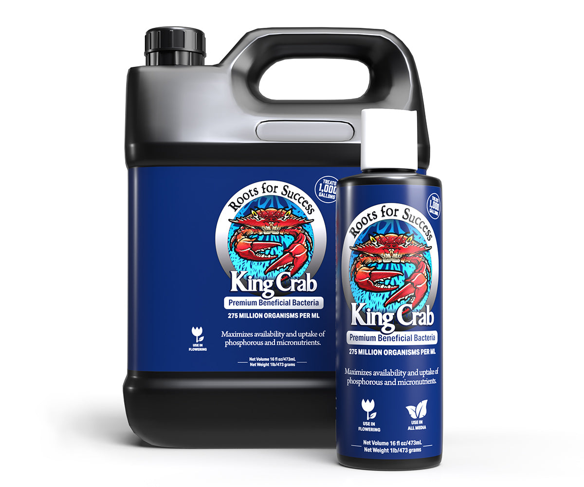 Plant Success / Great White King Crab 1 gal product image 1