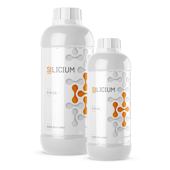 Silicium 250 ML Nutrients & Additives / SiLICIUM product image 1