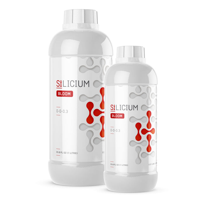 Silicium Bloom 250 ML Nutrients & Additives / SiLICIUM product image 1
