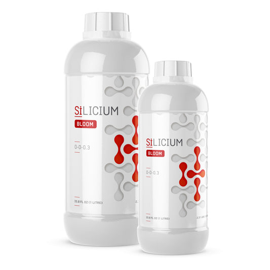 Silicium Bloom 500 ML Nutrients & Additives / SiLICIUM product image 1