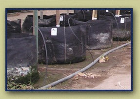 Smart Pot 7 gal 14" x 9.5" Pots & Containers product image 2