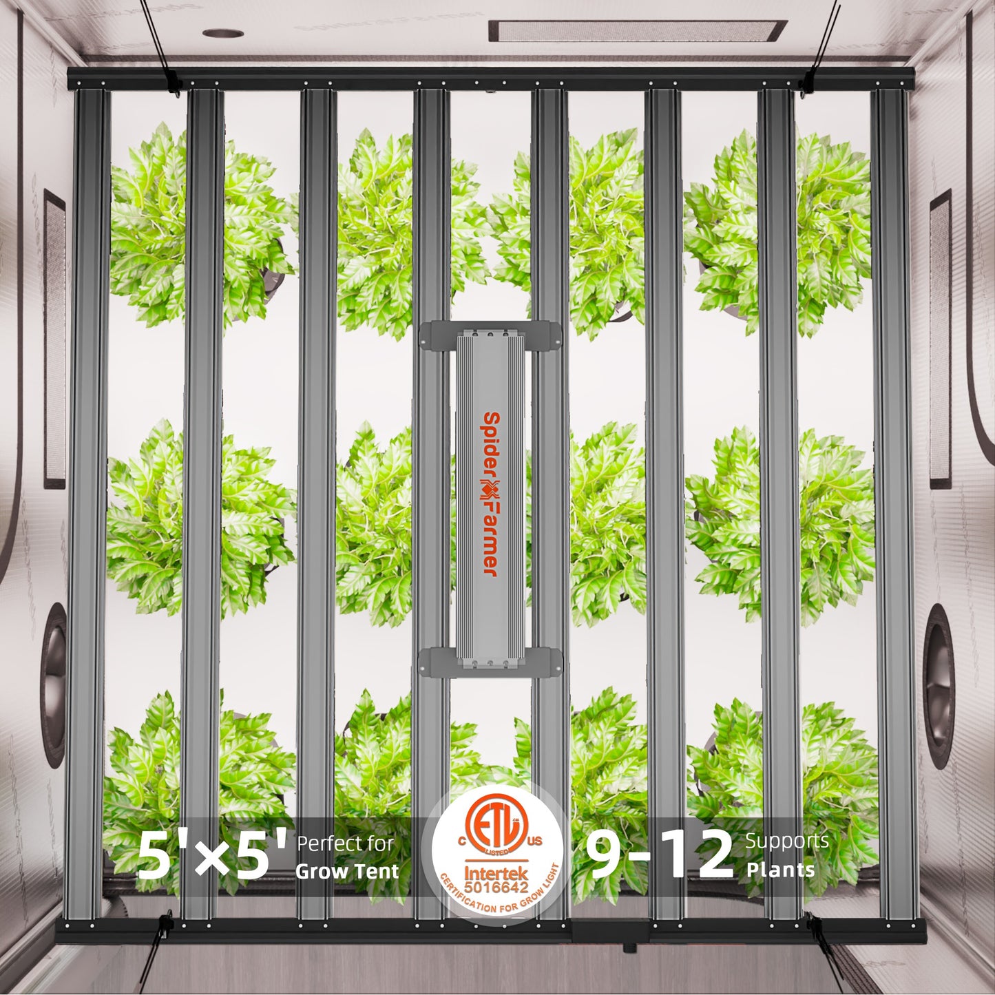 Spider Farmer G1000W 1000W Dimmable Full Spectrum CO2 LED Grow Light product image 14