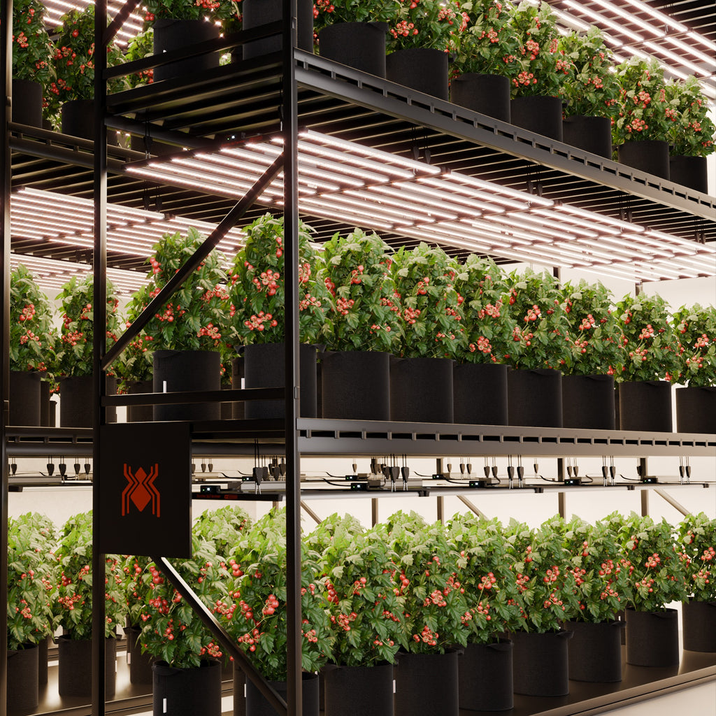 Spider Farmer G1000W 1000W Dimmable Full Spectrum CO2 LED Grow Light product image 5