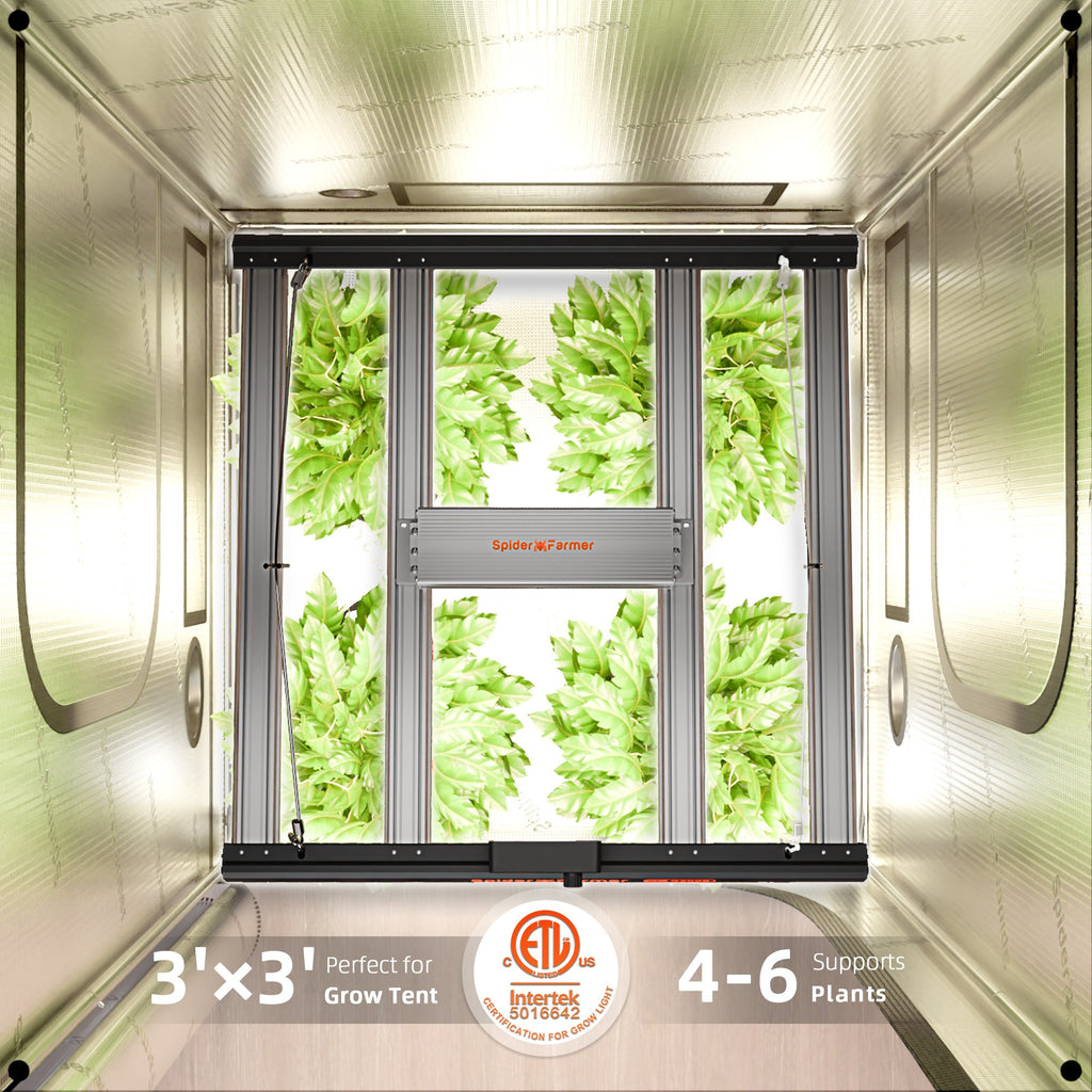 Spider Farmer G3000 300W Dimmable Full Spectrum LED Grow Light product image 13