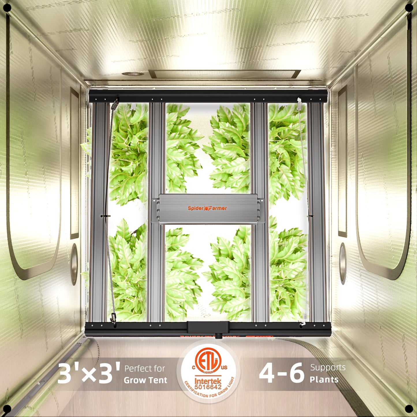 Spider Farmer G3000 300W Dimmable Full Spectrum LED Grow Light product image 13