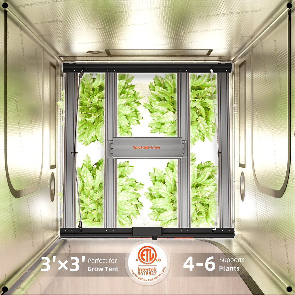 Spider Farmer G3000 300W Dimmable Full Spectrum LED Grow Light product image 7