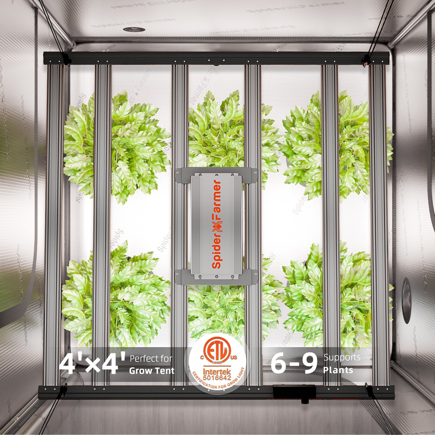 Spider Farmer G5000 480W Dimmable Full Spectrum LED Grow Light product image 13