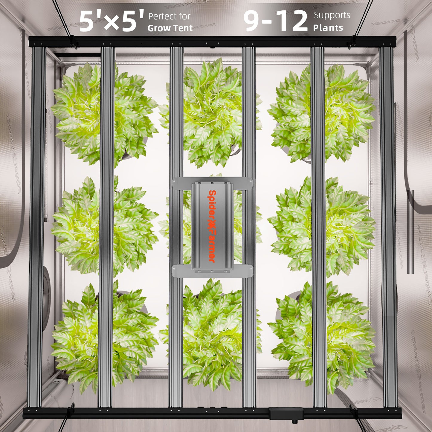 Spider Farmer G7000 730W Dimmable Full Spectrum LED Grow Light product image 13
