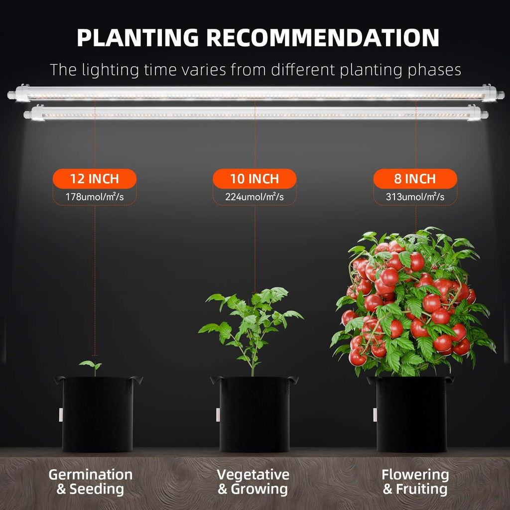 Spider Farmer Glow80 80W Full Spectrum LED Grow Light product image 5