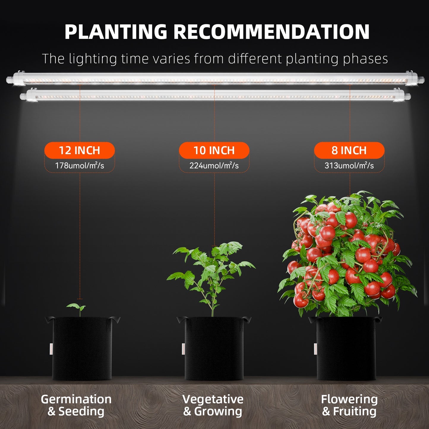 Spider Farmer Glow80 80W Full Spectrum LED Grow Light product image 6