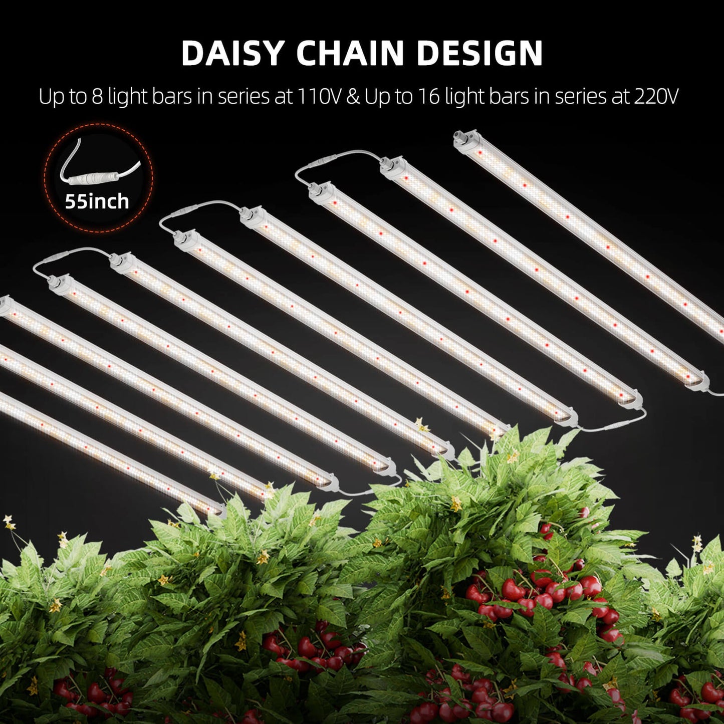 Spider Farmer Glow80 80W Full Spectrum LED Grow Light product image 7