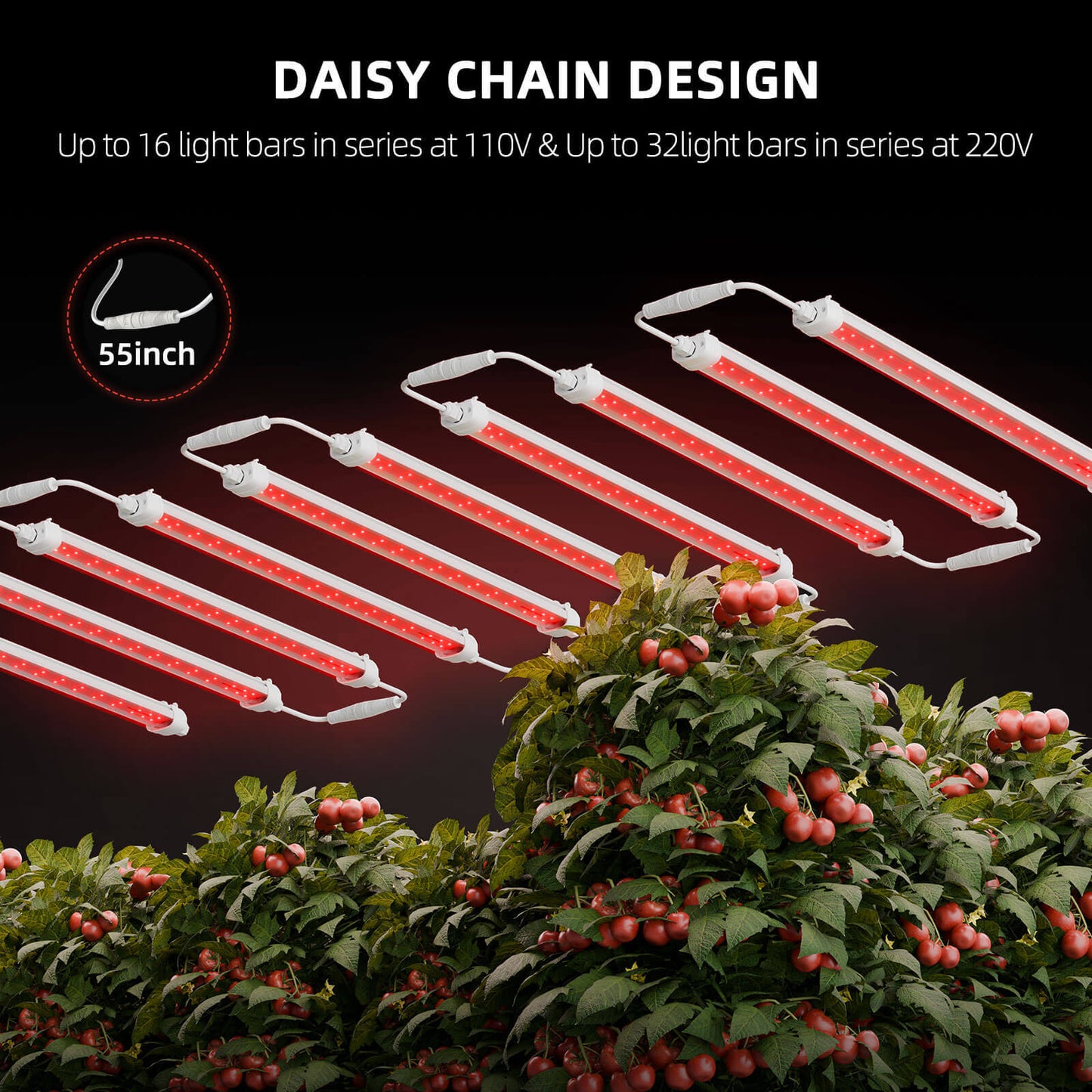 Spider Farmer GlowR40 40W 660nm Supplemental Deep Red LED Grow Light product image 5