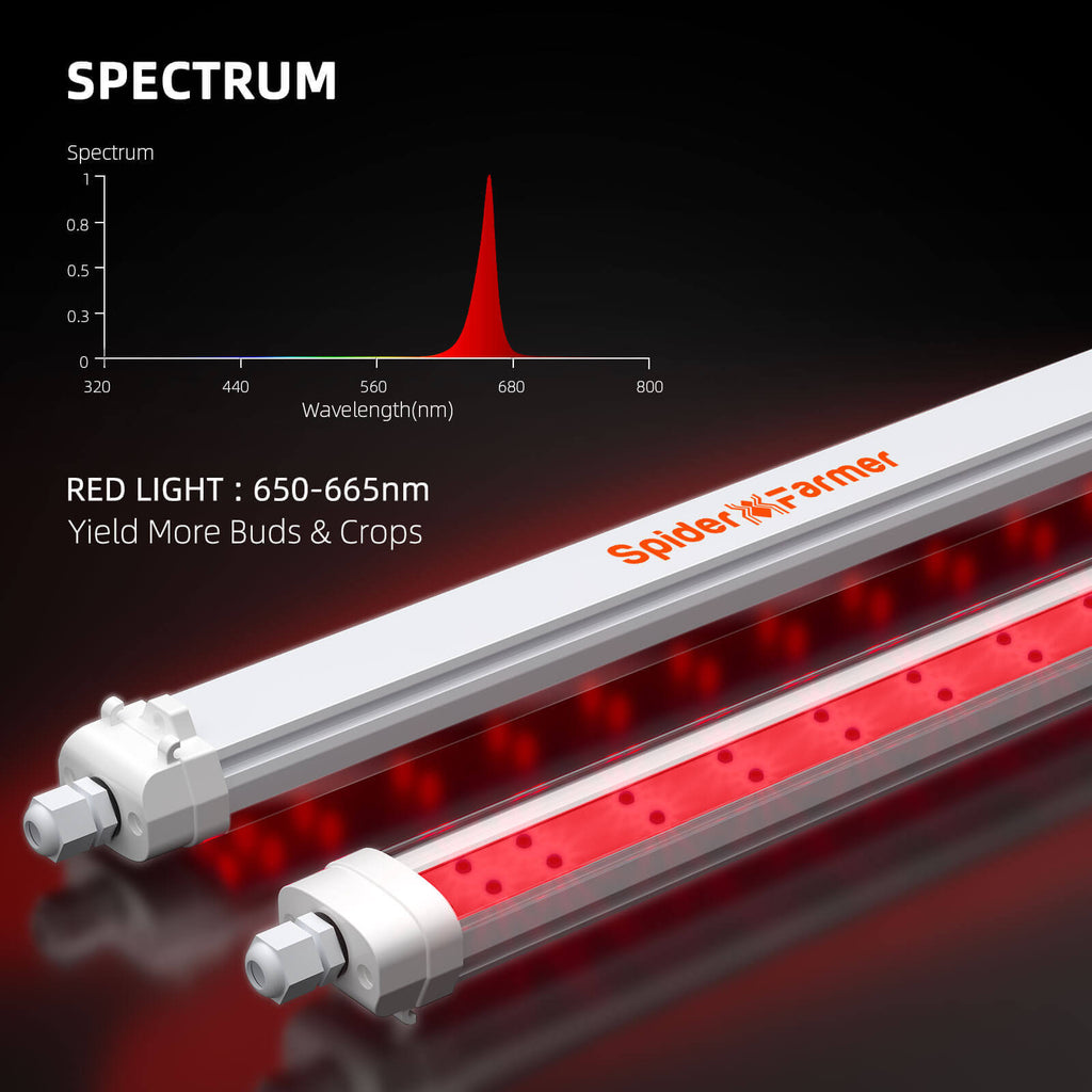 Spider Farmer GlowR80 80W 660nm Supplemental Deep Red LED Grow Light product image 2