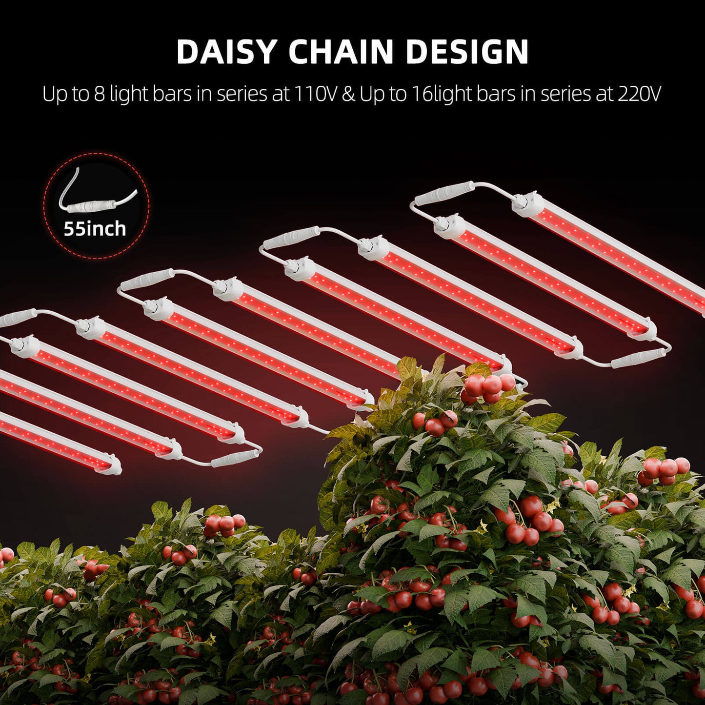 Spider Farmer GlowR80 80W 660nm Supplemental Deep Red LED Grow Light product image 5