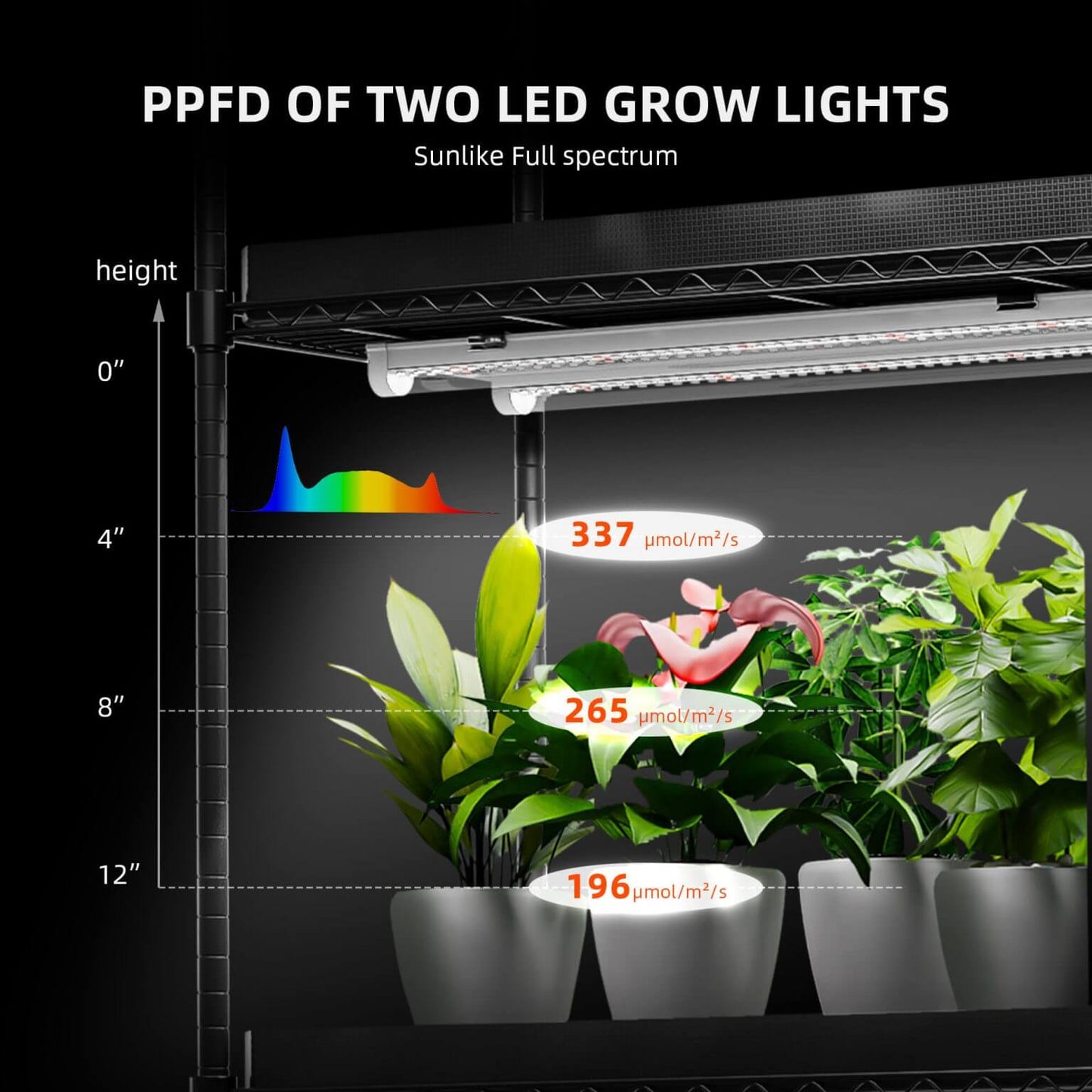 PPFD graph showing light intensity measurements from two LED grow lights on indoor plants in pots.