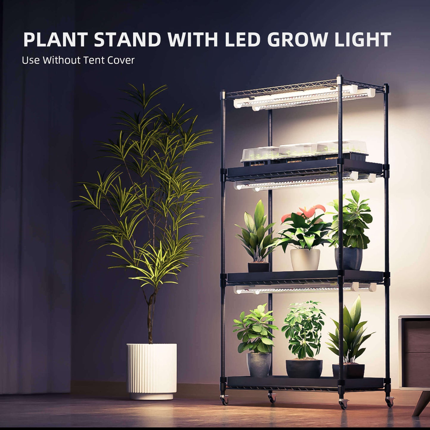 Spider Farmer 4-tier plant stand with LED grow lights showcasing indoor plants without tent cover.