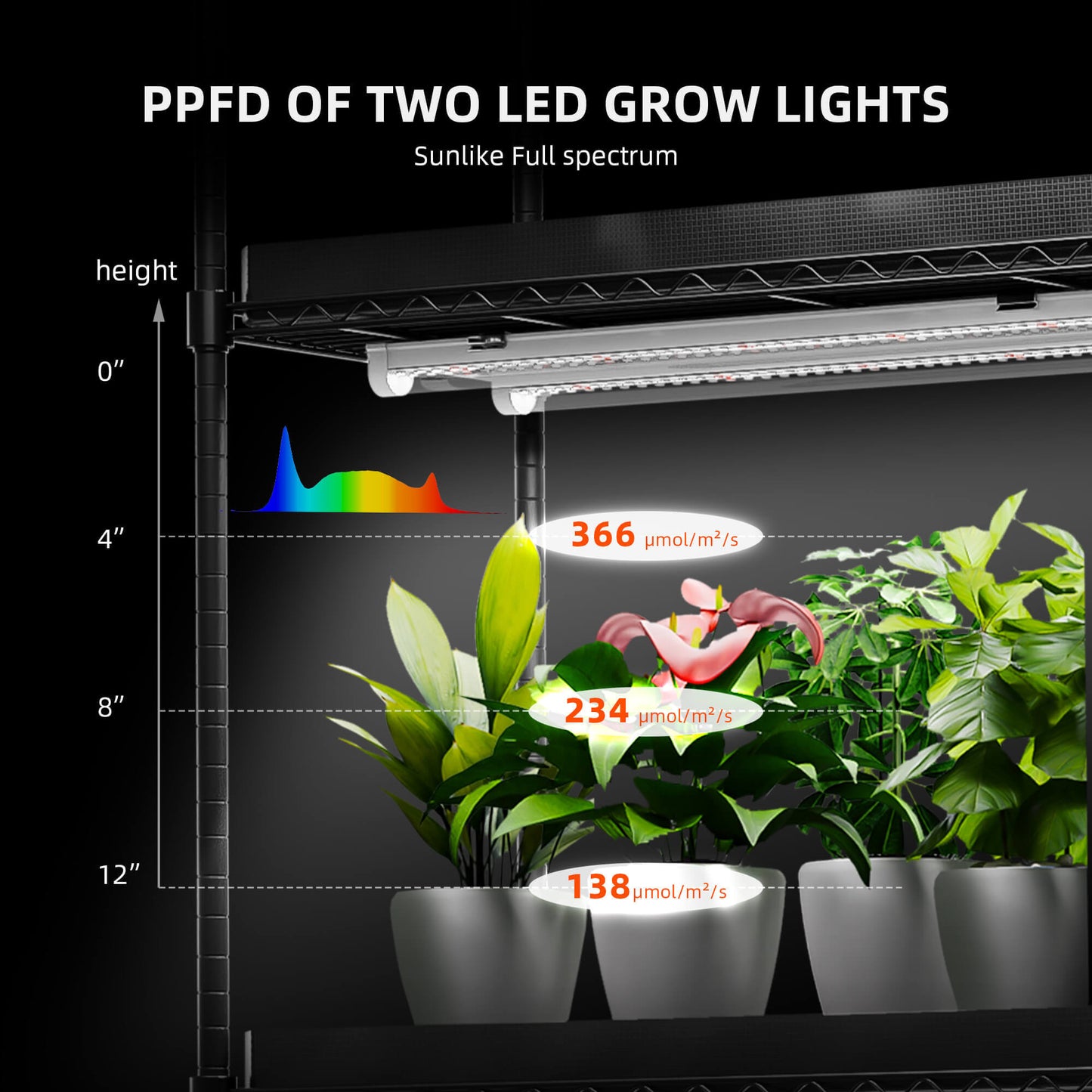 Diagram showing PPFD levels of two LED grow lights on indoor plants at various heights.