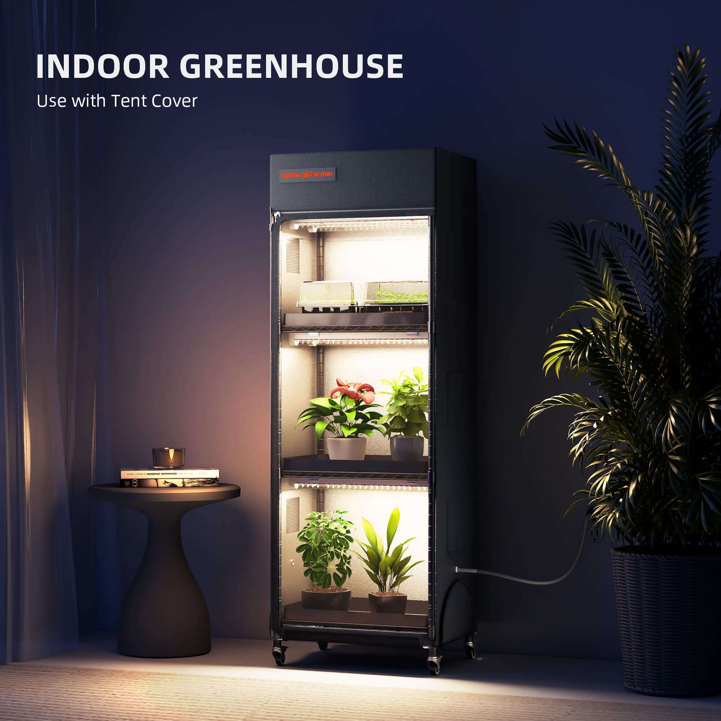 Compact indoor greenhouse with adjustable shelves, grow lights, and a tent cover, showcasing healthy plants.