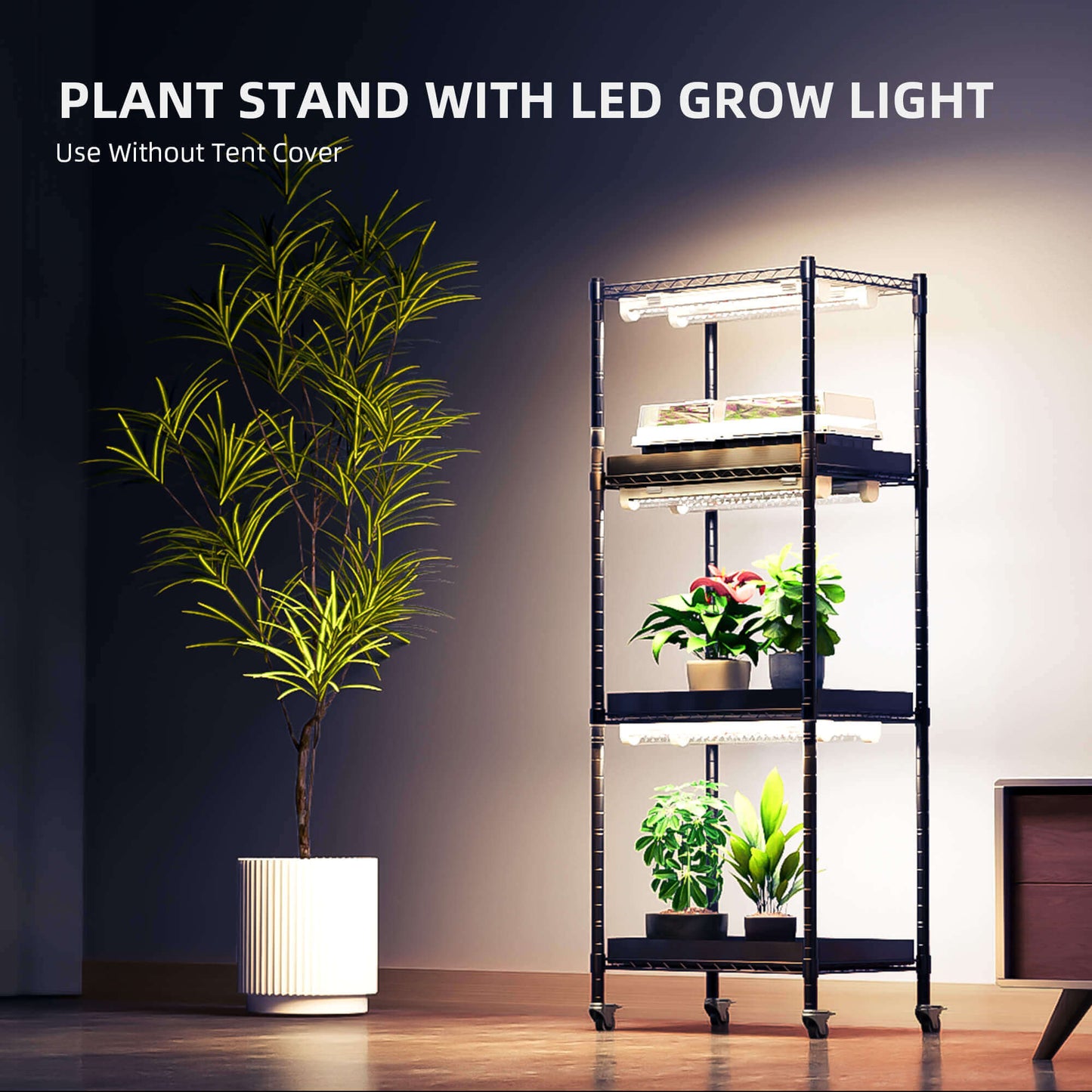4-tier plant stand with LED grow lights, showcasing indoor plants in a modern setting without tent cover.
