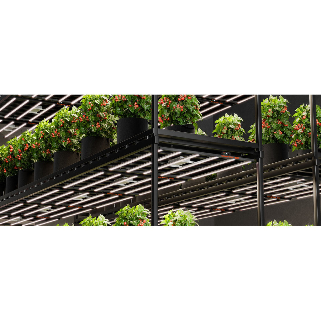 Spider Farmer SE7000 730W Dimmable Full Spectrum LED Grow Light product image 6